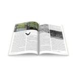 Articles