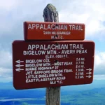 Explore by State