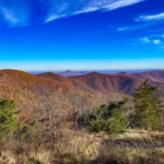 Georgia